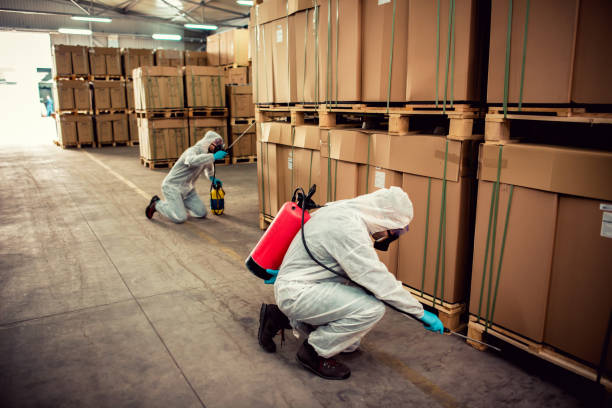 Reliable Uvalde, TX Pest Control Solutions