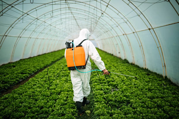 Best Pest Prevention Services  in Uvalde, TX