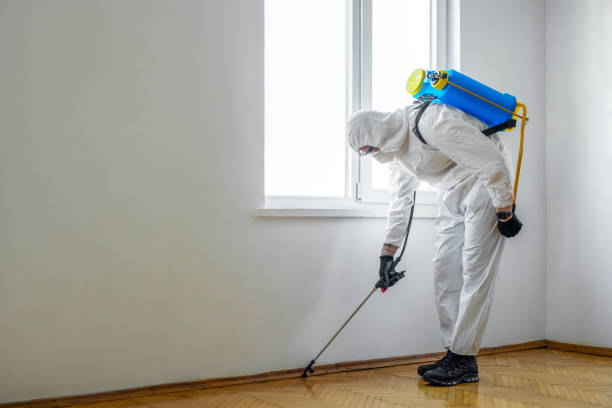 Best Local Pest Control Services  in Uvalde, TX