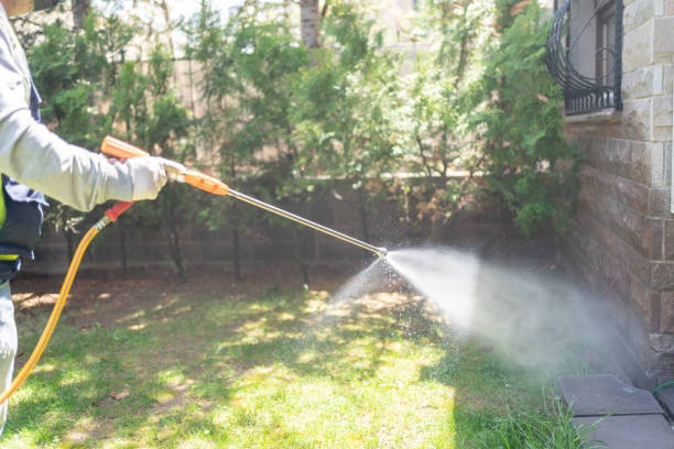 Best Best Pest Control Companies  in Uvalde, TX