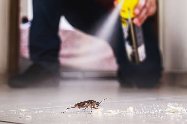 Best Best Pest Control Companies  in Uvalde, TX
