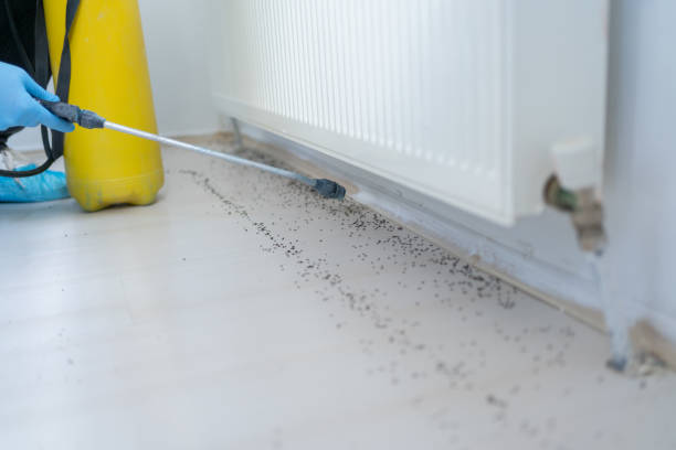 Best Cockroach Control Services  in Uvalde, TX